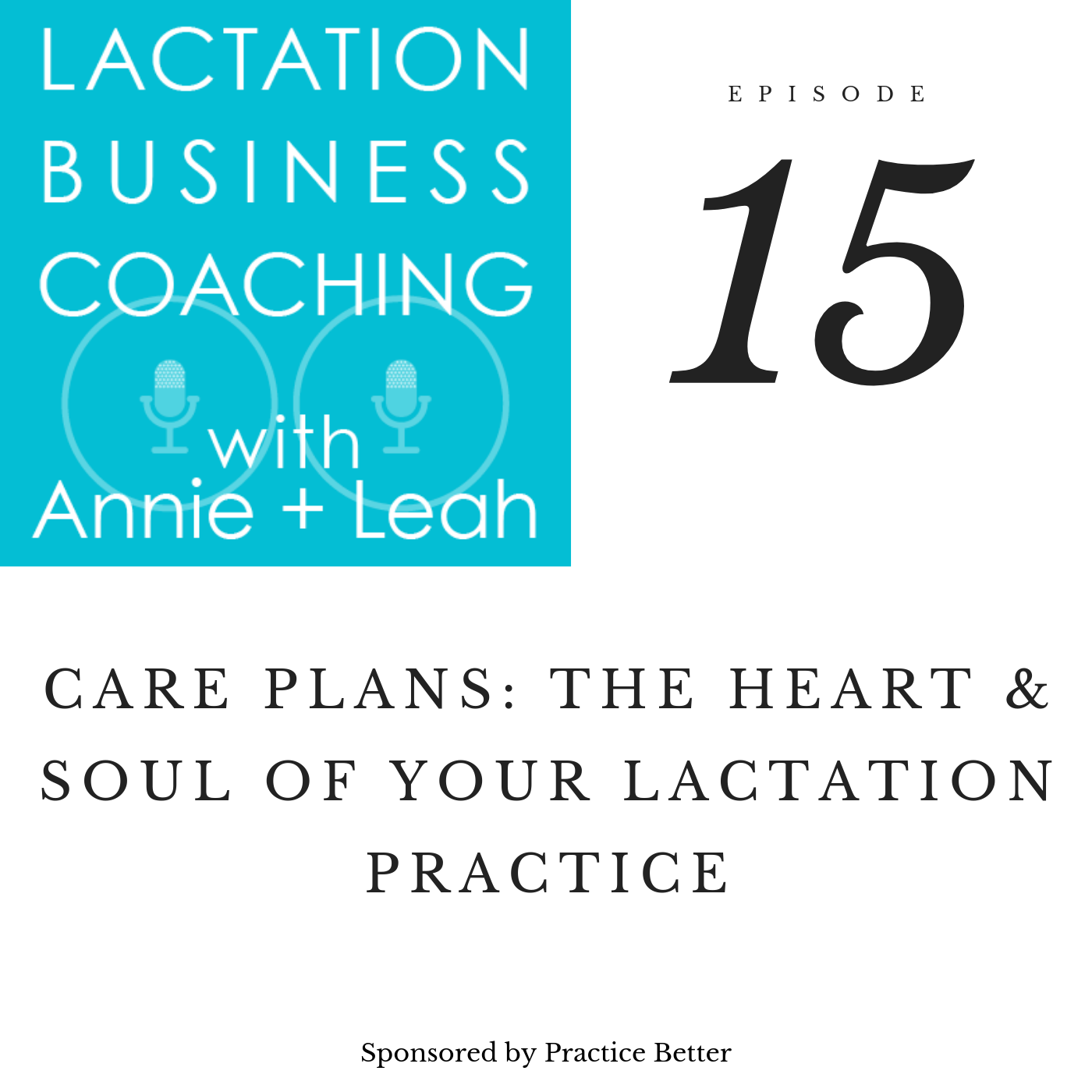 Care Plans Can Be The Heart And Soul Of Your Lactation Private Practice Podcast Paperless