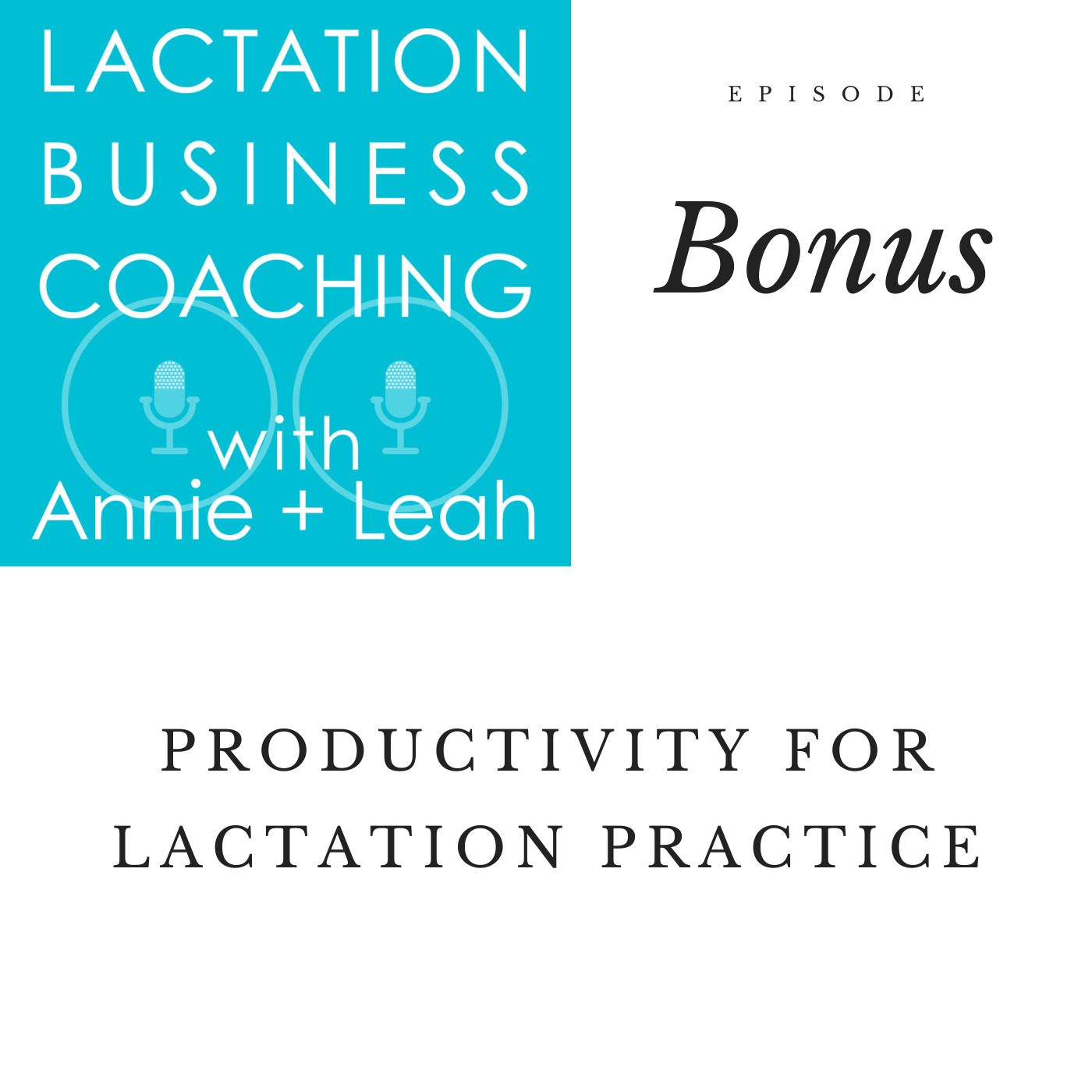 Productivity for Lactation Private Practice [PODCAST] | Paperless Lactation