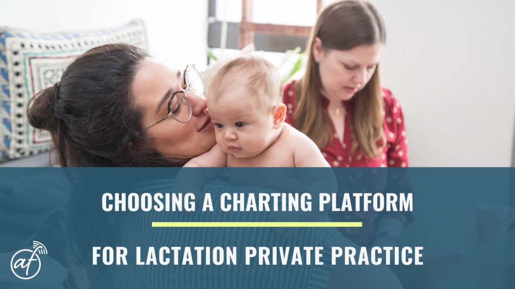 How To Choose A Charting Platform For Your Lactation Private Practice