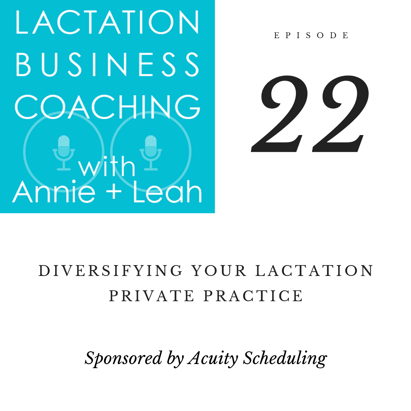Diversifying Your Lactation Private Practice PODCAST Paperless Lactation