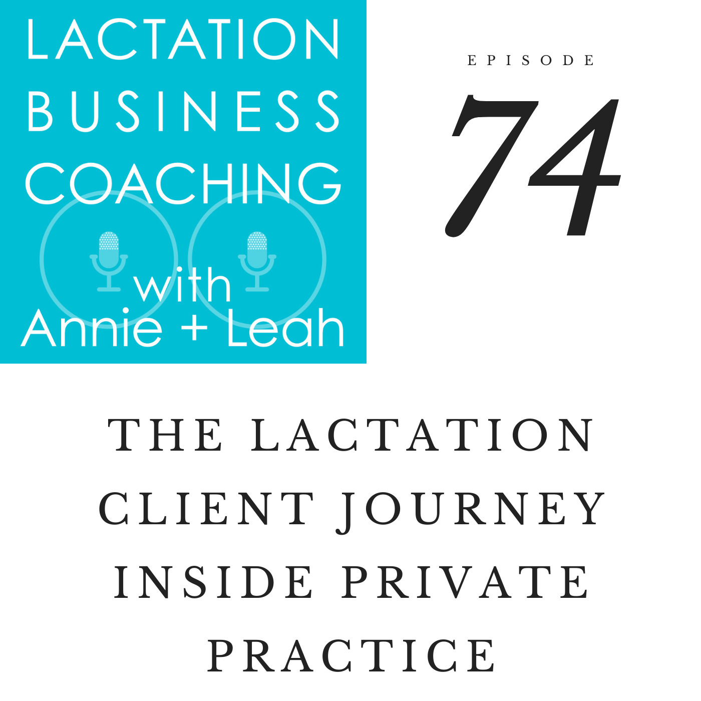 the-lactation-client-journey-inside-private-practice-podcast